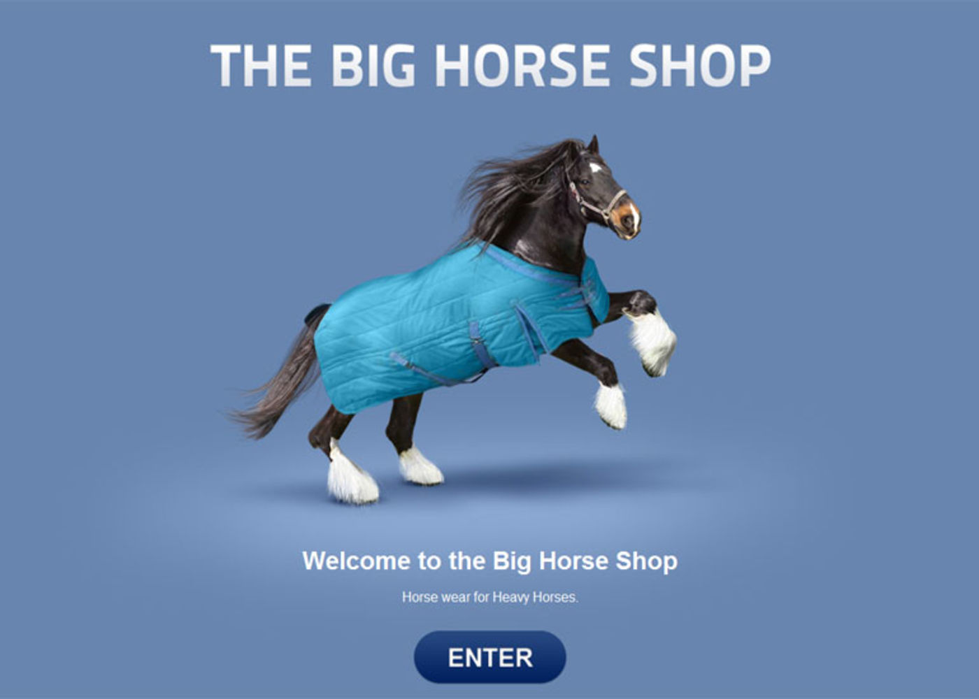 The Big Horse Shop (2009) Welcome